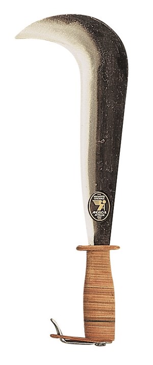 07.01.00.jpg 07.01.00.jpg