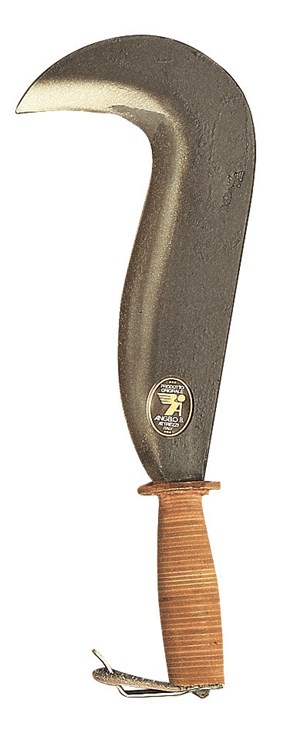 RONCOLA LUCCA RONCOLA LUCCA