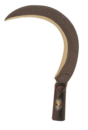 RONCOLA SCANSANO RONCOLA SCANSANO