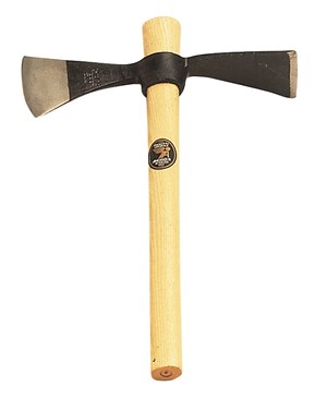 ASCIA NOCCIOLA ASCIA NOCCIOLA