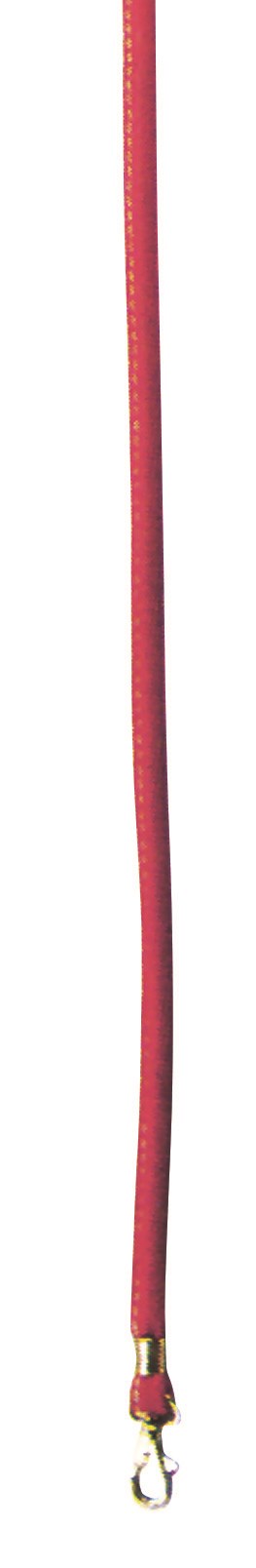 GUINZAGLIO CANE PELLE TONDO